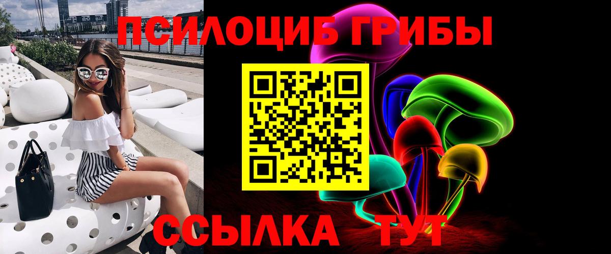 Гусиноозёрск  Галлюциногенные грибы Psilocybe  Вход с VPN 