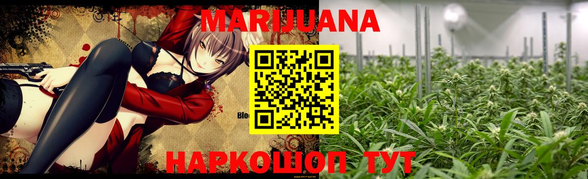 Бошки марихуана план  Канабис Amnesia  Канабис сатива  Бошки марихуана конопля  Вход с VPN  Гусиноозёрск 